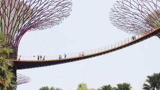 asiabridge.jpg