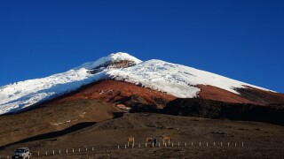 Cover image.jpg