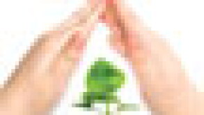 minority-puff.jpg