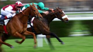 horse-race.jpeg