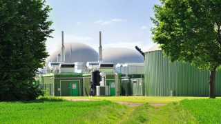 bio fuel plant