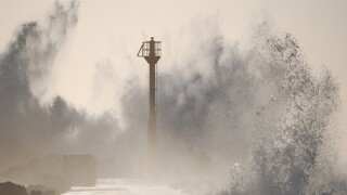 Typhoon
