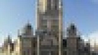 am1f.jpg