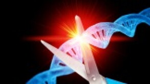 CRISPR 168