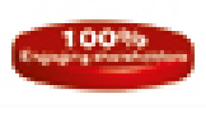 bigq-thumb.jpg
