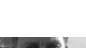 weber-pe02.gif