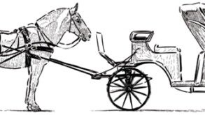 horse.jpg