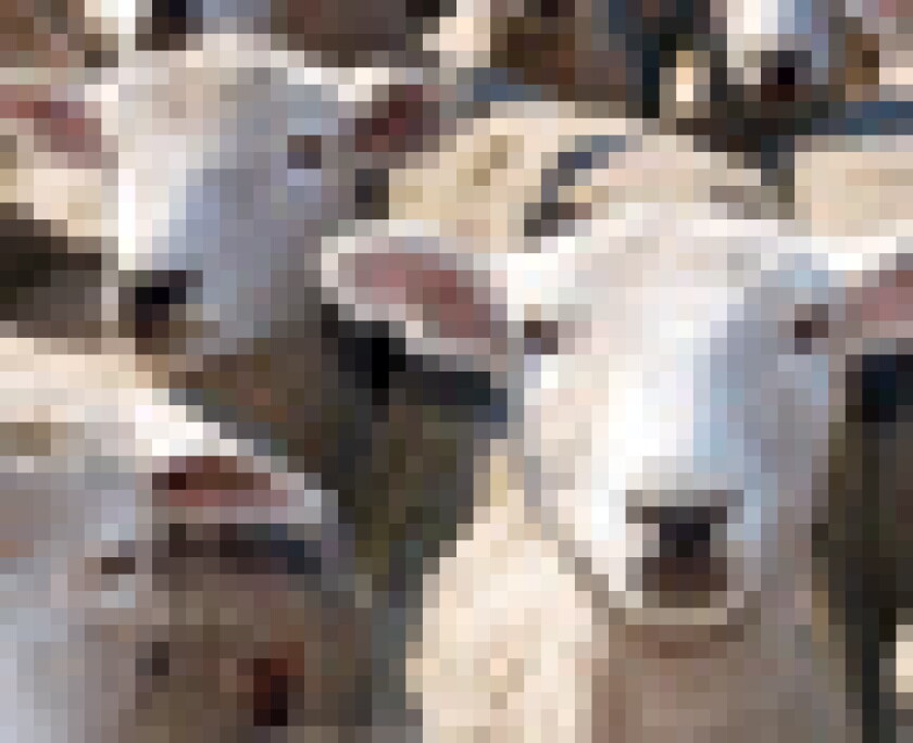 equity-puff.jpg