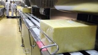 cheese1.jpg