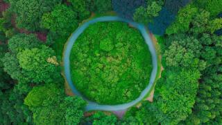 greennnnnn.jpg
