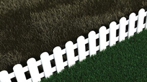 turf.jpg