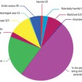 beps-carousel.jpg