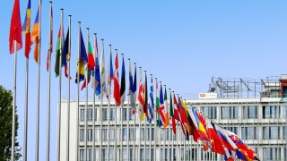 EU flags