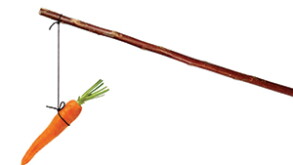 carrot.jpg