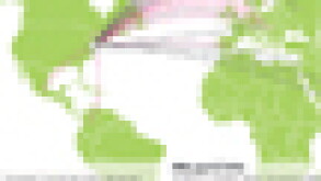 pph-puff.jpg
