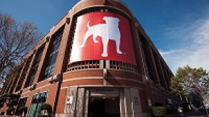 zynga1.jpg