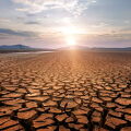dried river.jpeg