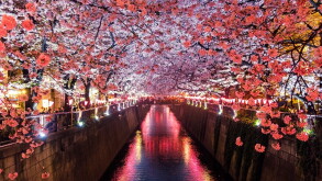 japan-2.jpg