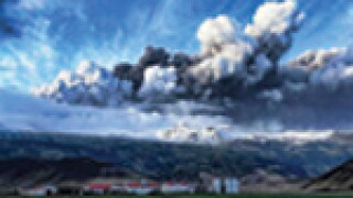 ash.jpg