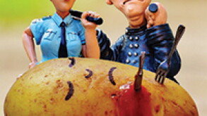 potatoes.jpg