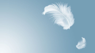 feather touch