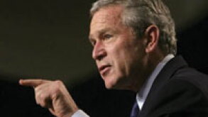 bush.jpg