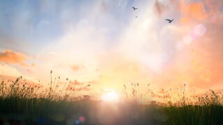 Happy thanksgiving day concept: Beautiful meadow and sky autumn 