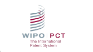 PCT logo 168