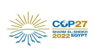 cop27-640x600.jpg