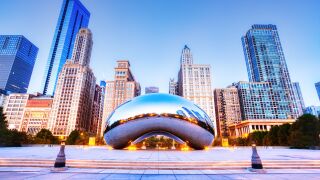 bean chicago .jpeg