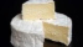 camembert-67.jpg
