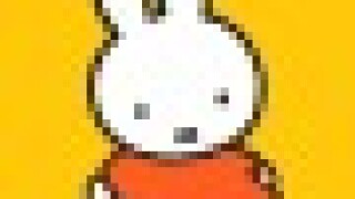 miffy1-45.jpg