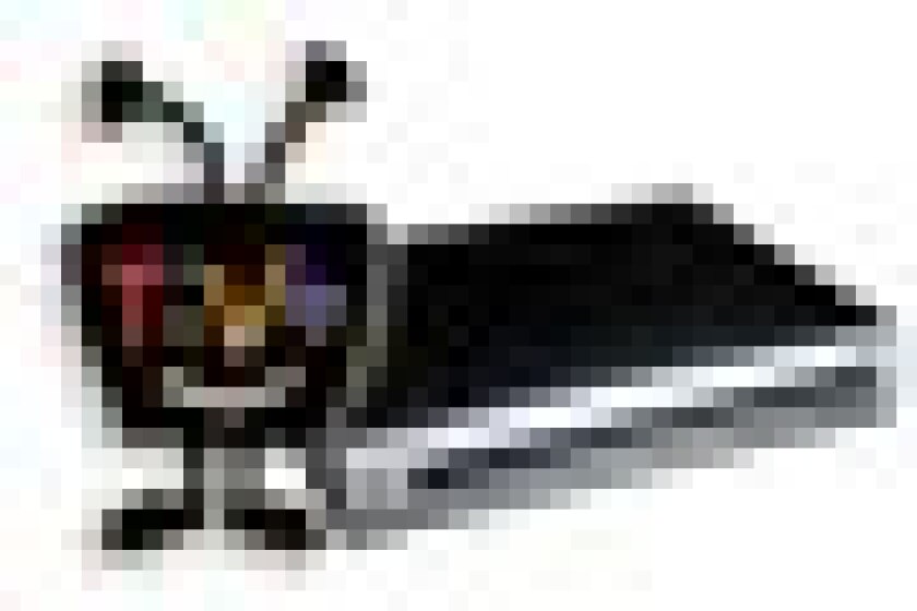 tivo-small.jpg
