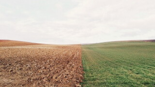 Border