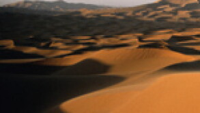 qatar.jpg