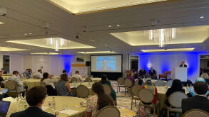 MIP summit
