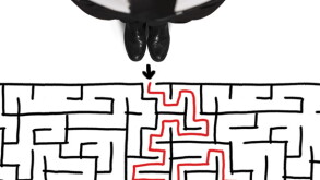 maze.jpg