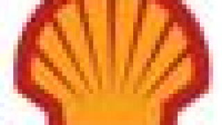 shell50.jpg