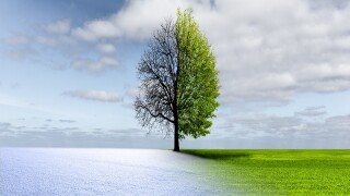 wintertransition