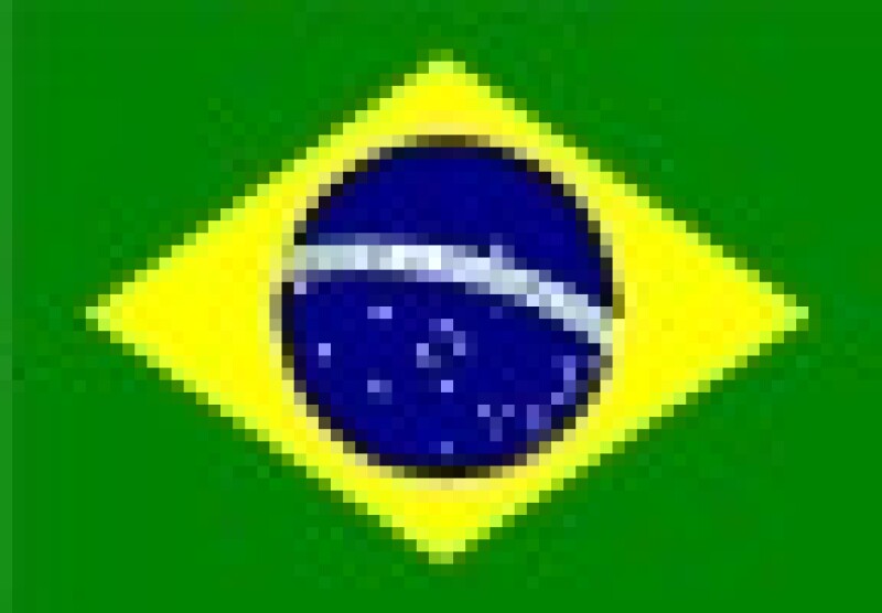 brazfla.jpg