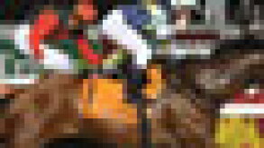 horse-puff.jpg