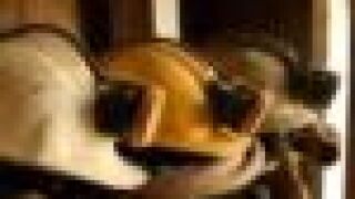 mrrt.jpg