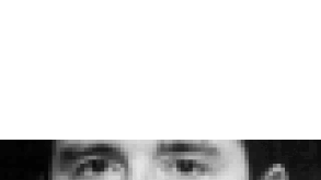 hay-pe02.gif