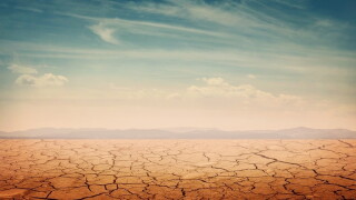 desertBrexit