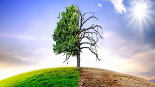 climaterapidlychanging