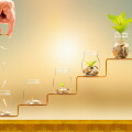 Investor hand hold and drop a gold coin in the five bottle and p