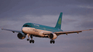 migrating.gif