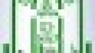dzitlogosmall.jpg