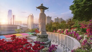 south-korea.jpg
