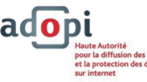 hadopi-logo.jpg